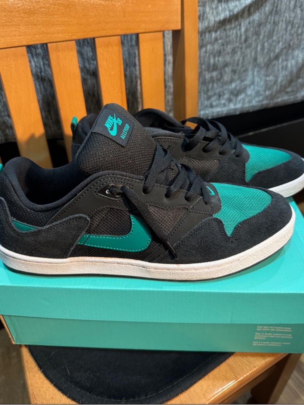 Nike Black & Teal Low-Top Skate Sneakers